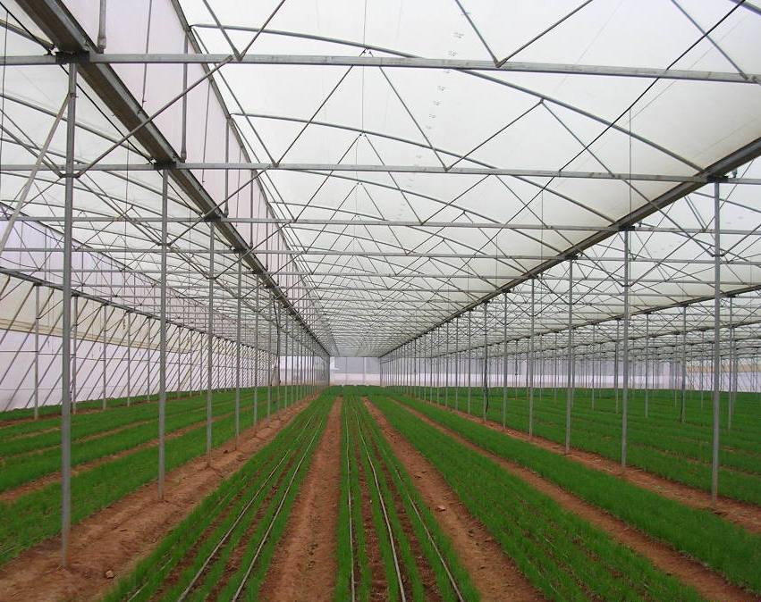 Greenhouse Project 8